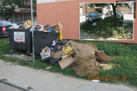 Gunoi la tot pasul: Oraşul e plin cu depozite clandestine de deşeuri
